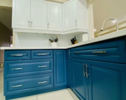 cabinet-painting-milton-on-16